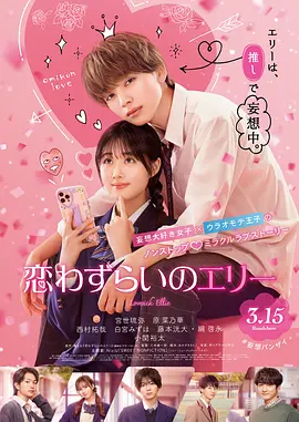 秘书tk—视频vk