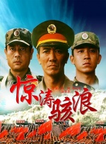 成a人影片免费观看日本泪壶