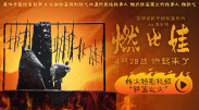 皇后