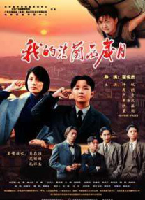 国内精品影院久久久久