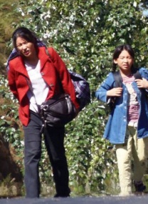 视频免费1区二区三区