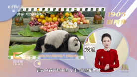 美女视频黄免费的